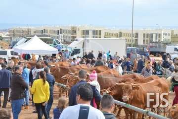 Los Llanos de Telde, en el día grande de sus fiestas patronales de 2019 (Foto Francisco Javier Santana)